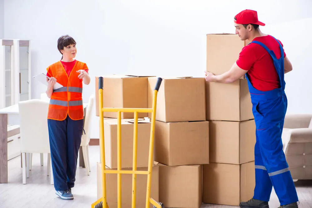 Abu Dhabi Movers & Packers